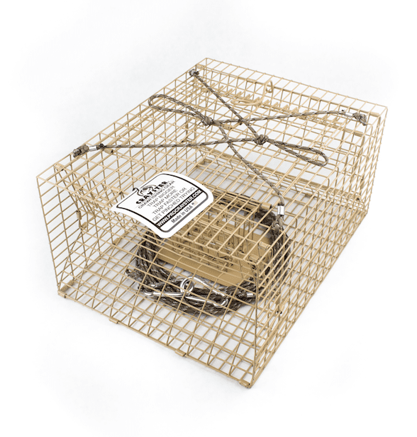 Crayster Creek Trap