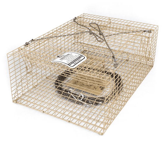 Lake Trap - Large Box Trap - Image 2