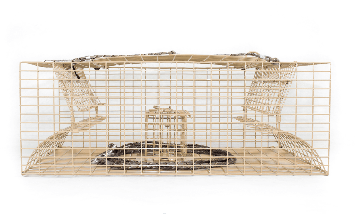 Lake Trap - Large Box Trap - Image 3
