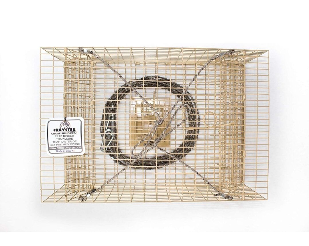 Large box style trap