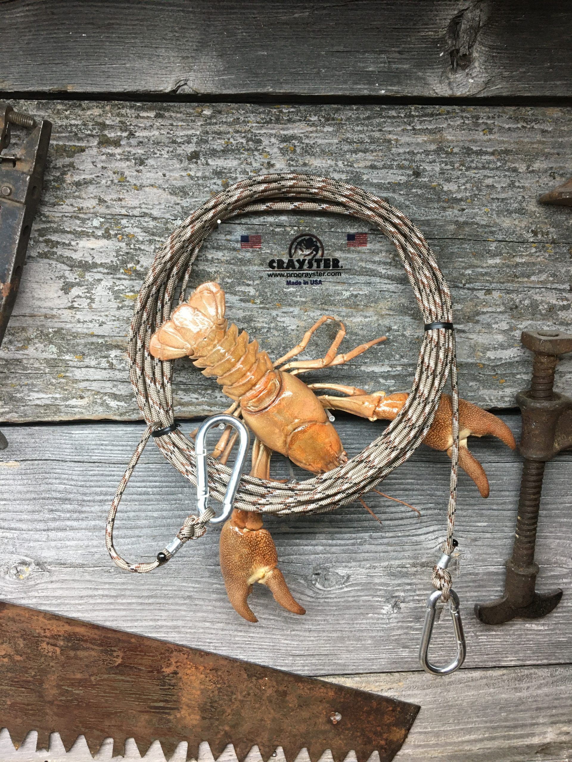 50' Extra rope